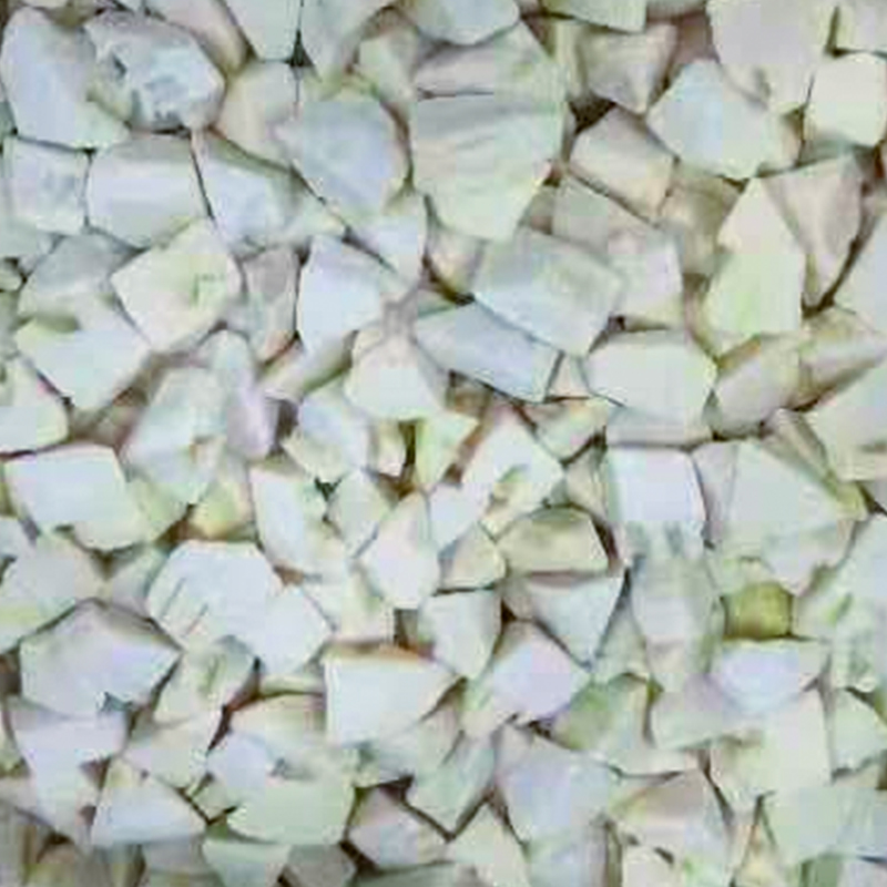 Corte de brotos de bambu IQF