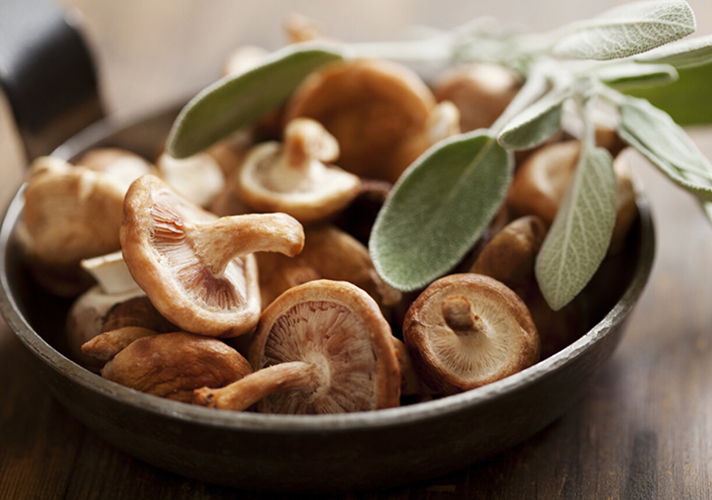 Tecnologia de processamento de cogumelos shiitake IQF